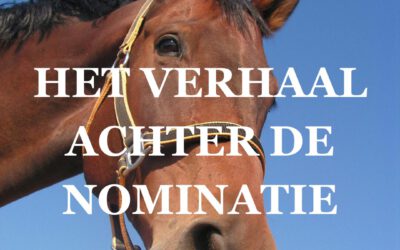 UWV UIL Award – het verhaal achter de nominatie