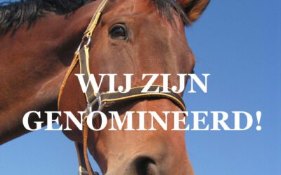 UWV UIL Award – Caprilli genomineerd!